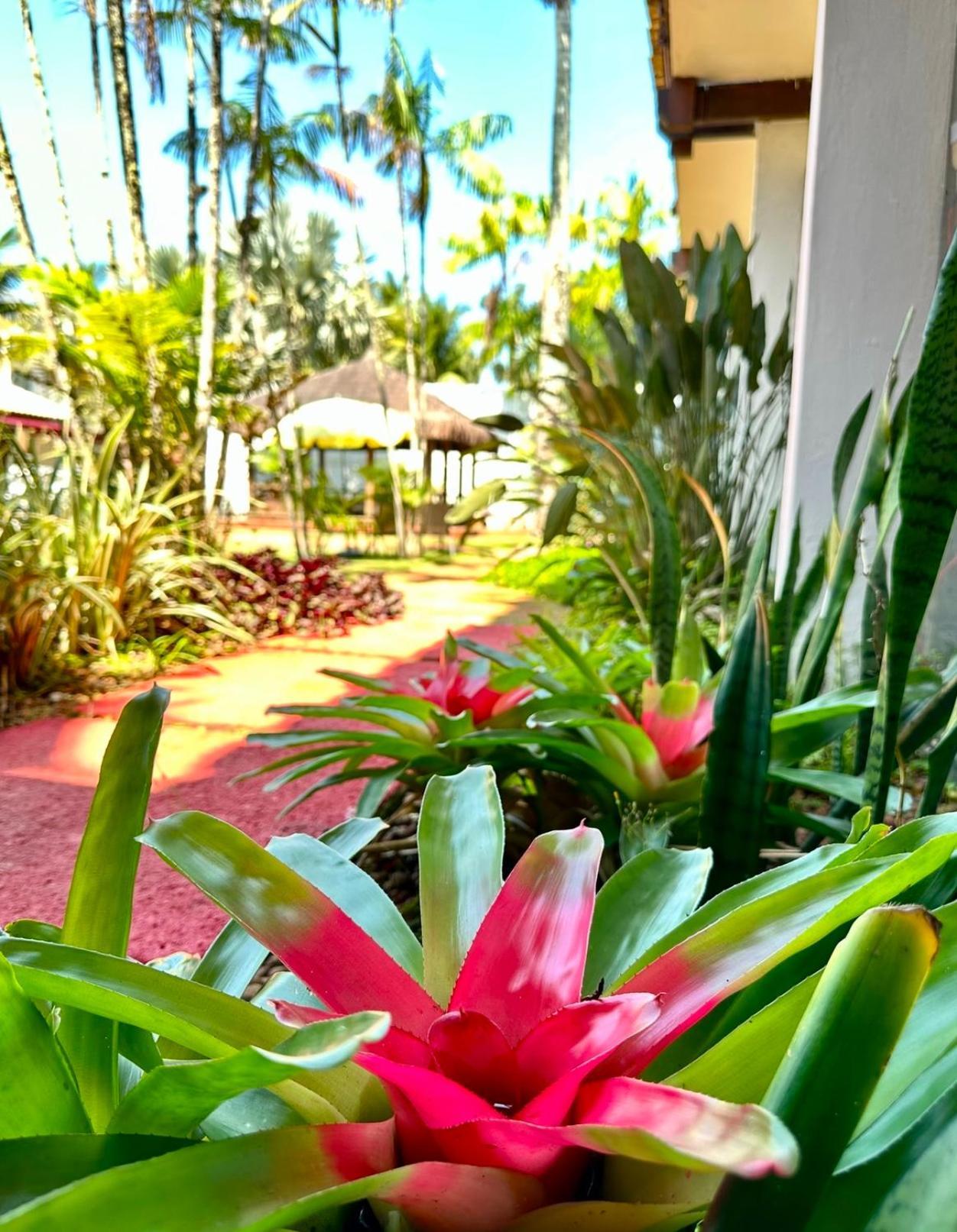Hotel Casa Paradiso Гуаружа Екстериор снимка